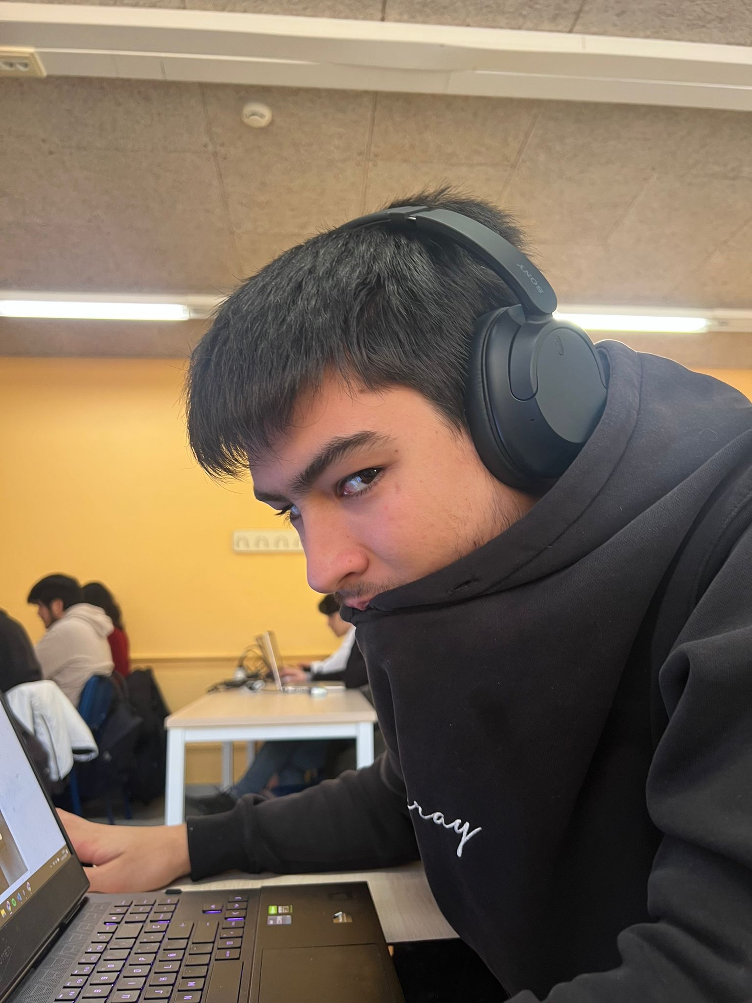 Imagen del artículo